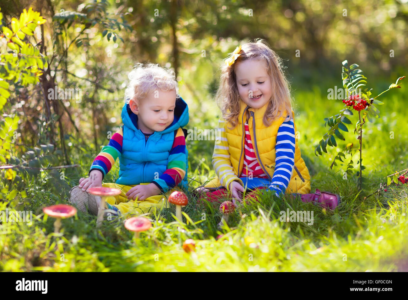 животные. детям об экологии. отцы и дети. подражать природе. подражать природе.