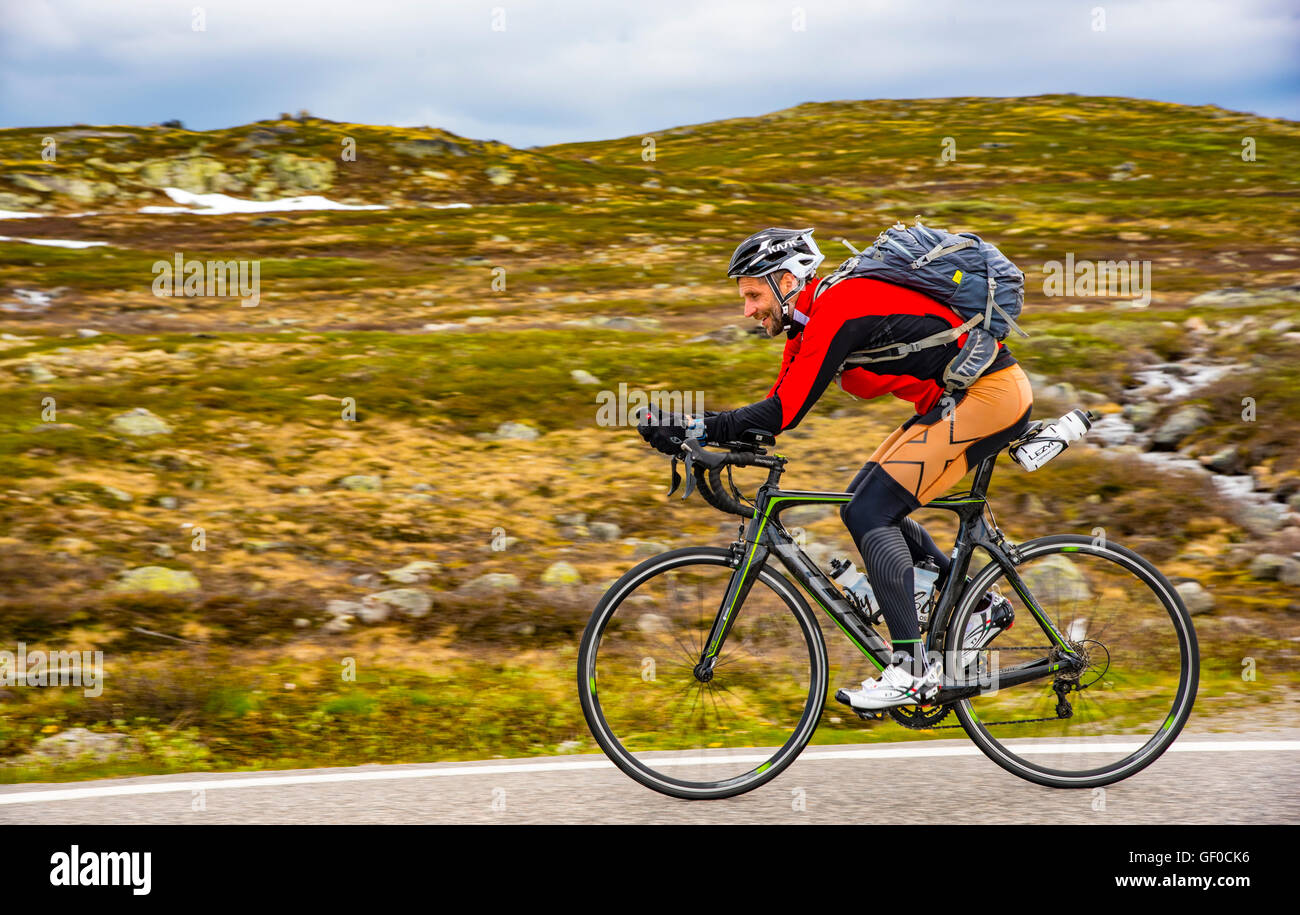 Road Cyclist peddling on route 7, Hardangervidda National Park next to Lake Orteren, Norway, Hordaland, Scandinavia, European Stock Photo