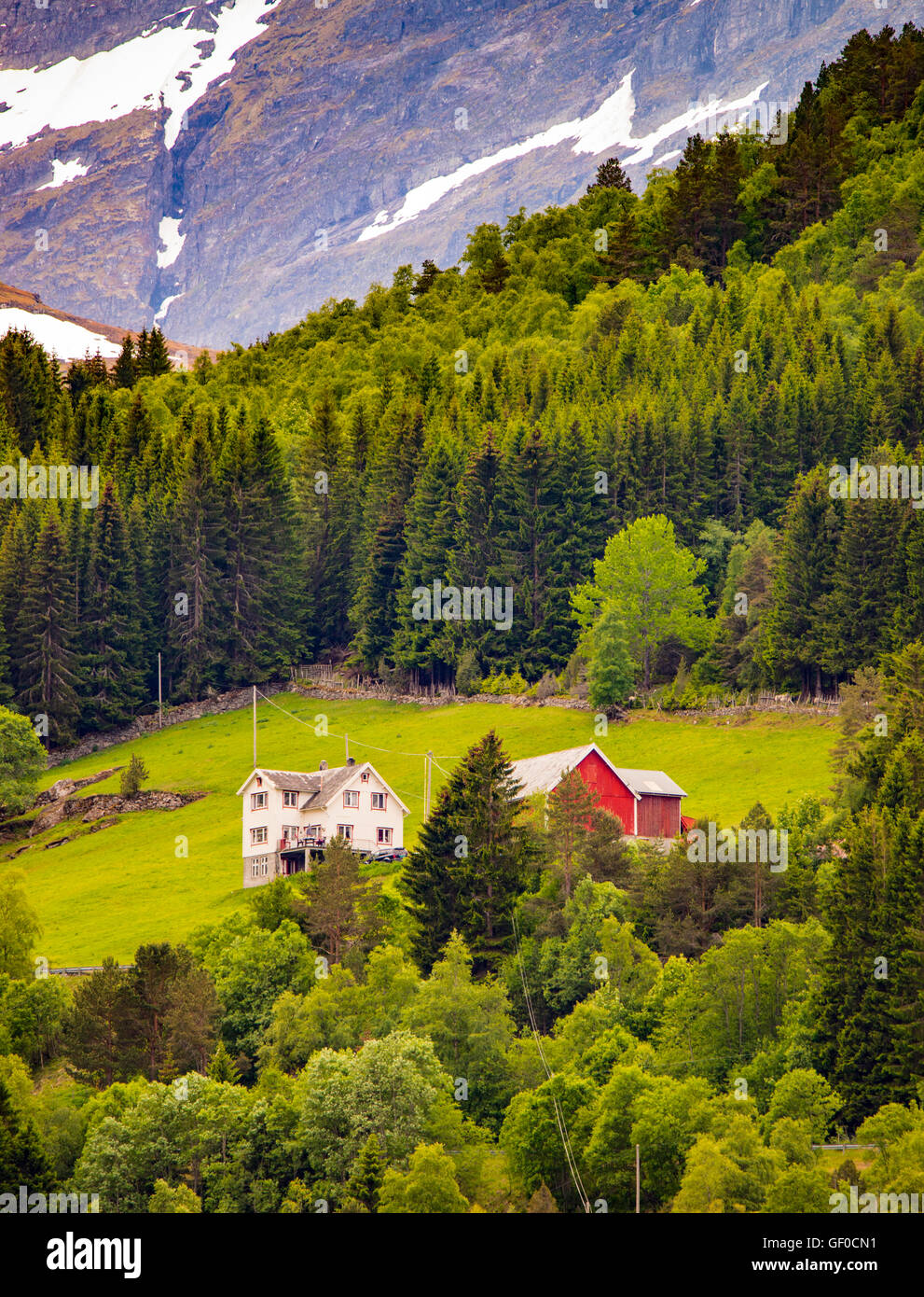Farm nestled in mountain forest, Bergen, Norway, Scandinavia, European Stock Photo