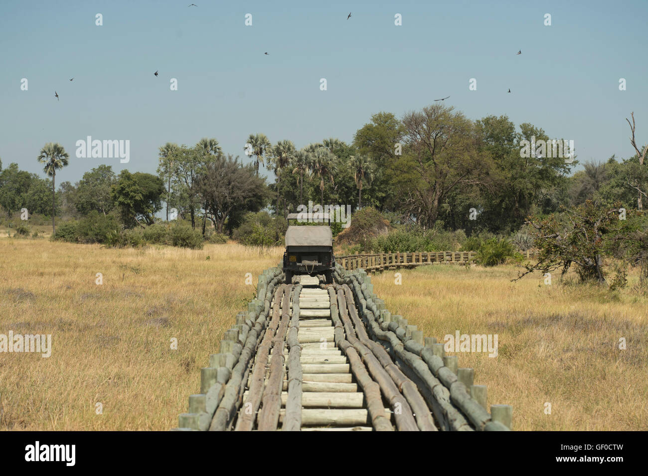 Log Bridge in the Okavango Delta near Mombo camp Stock Photo