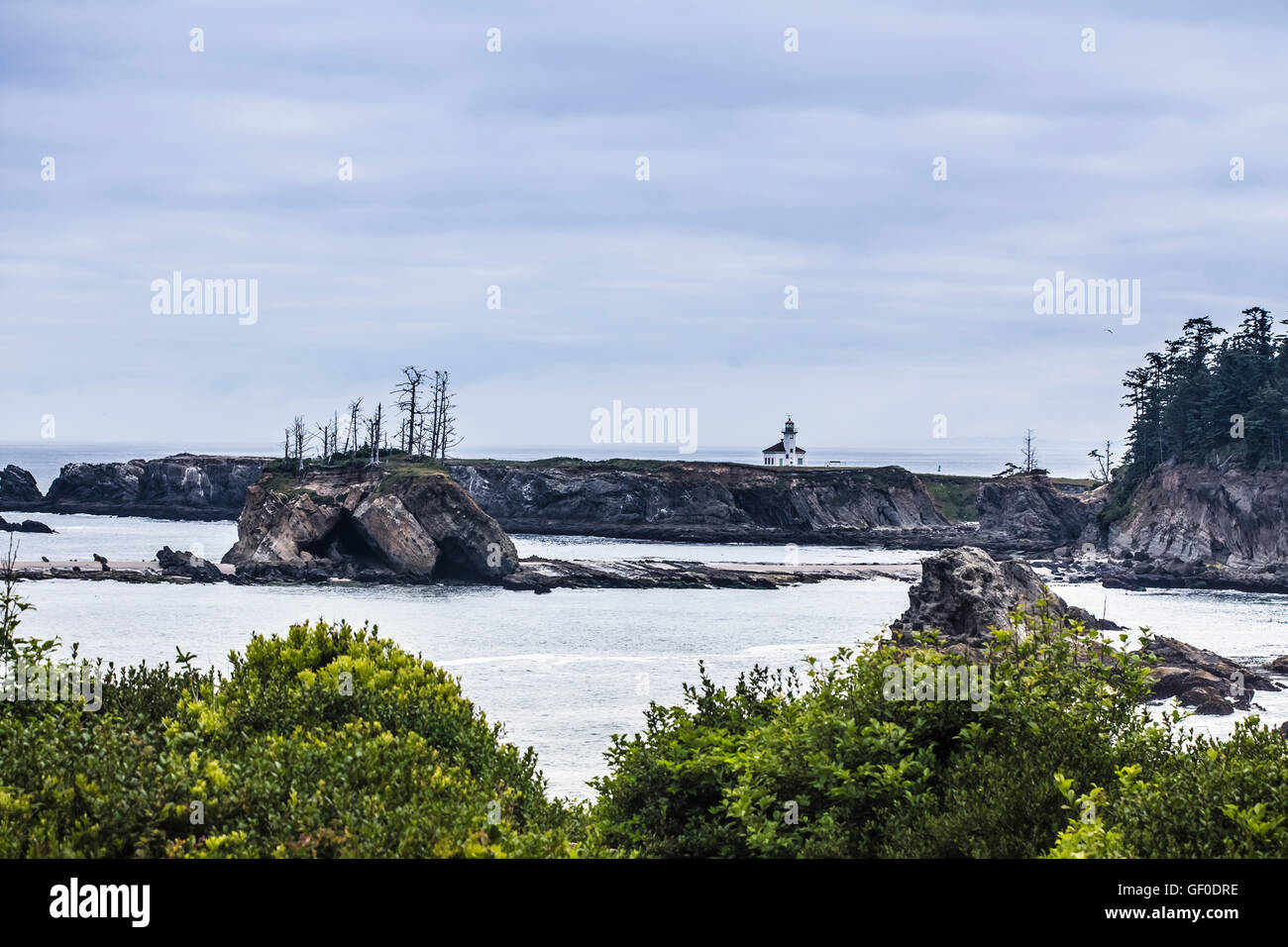 cape arago lighthouse, coos bay, oregon Stock Photo Alamy
