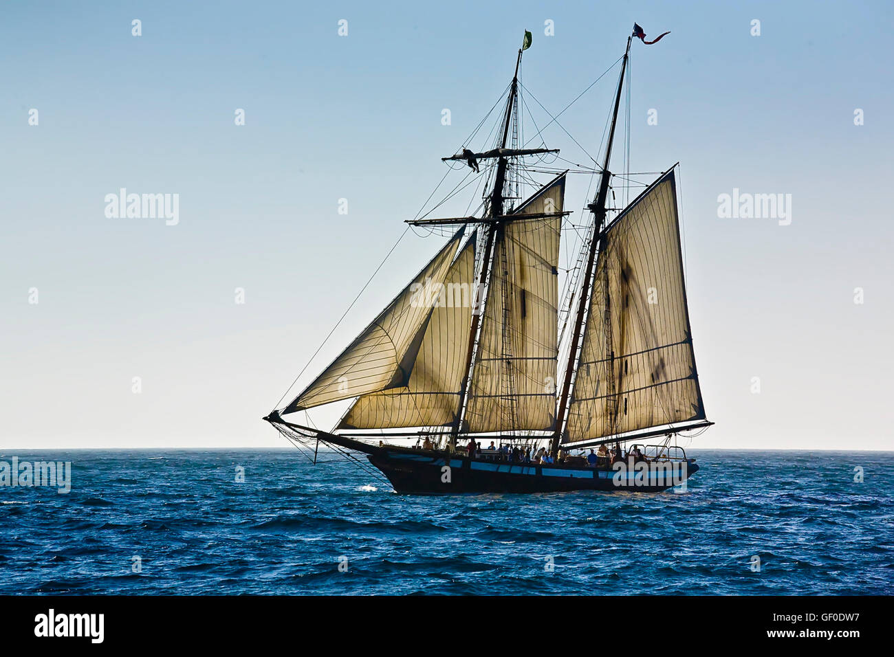 Sailor in the rigging of the Tall Ship Lynx under sail off of Dana