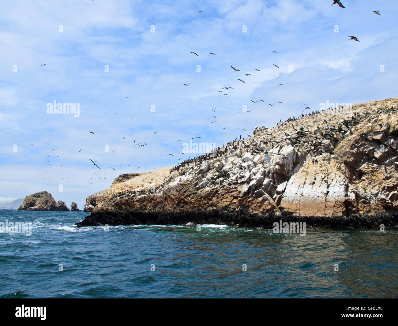 Islas Ballestas, the wildlife sanctuary. Stock Photo