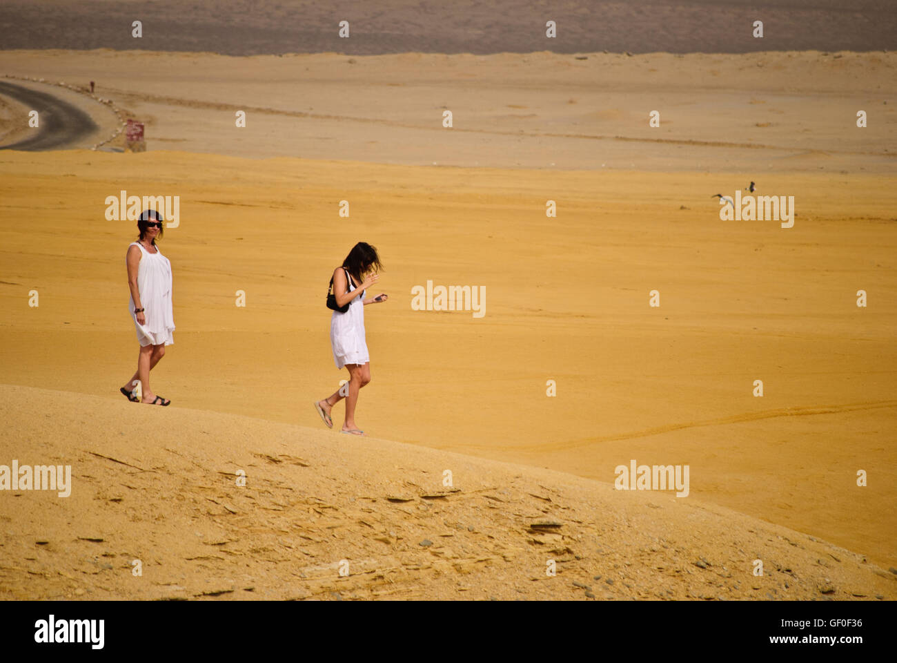Tourists in the coastal desert of Paracas Nature Reserve Stock Photo