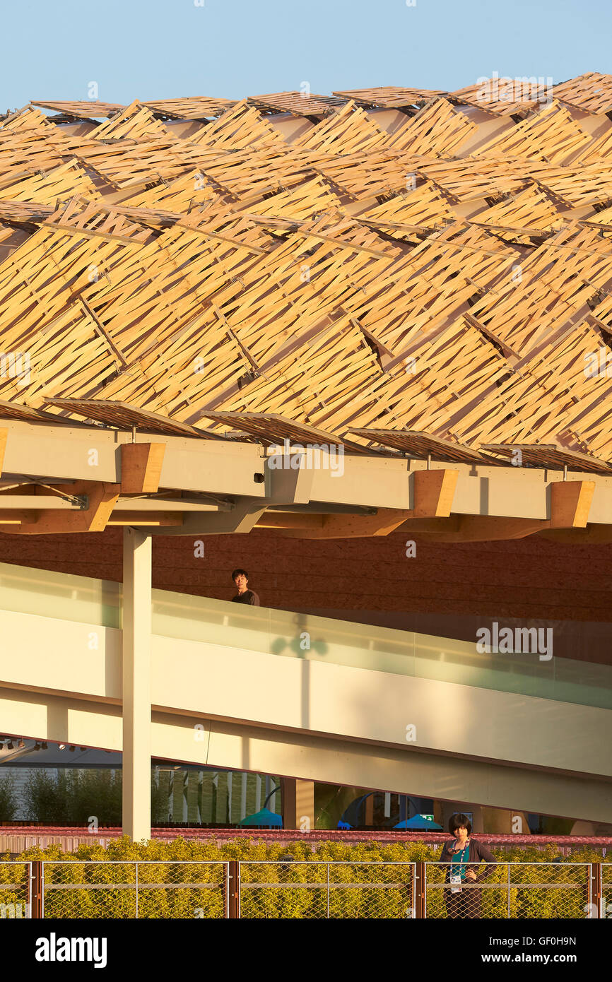 Facade detail. Milan EXPO 2015, China Pavilion, Milan, Italy. Architect: Studio Link-Arc with Tsinghua University, 2015. Stock Photo