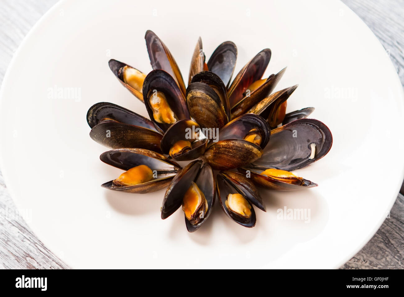 Cooked mussels on white plate Stock Photo Alamy