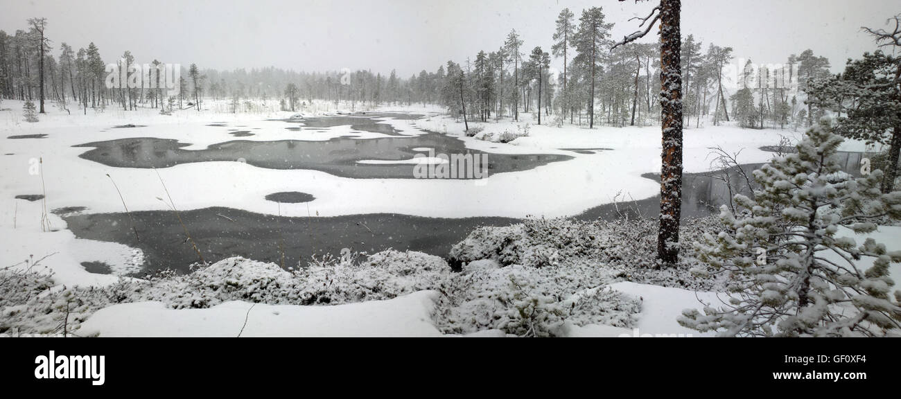 Dense big snow falls over forest and river Stock Photo - Alamy