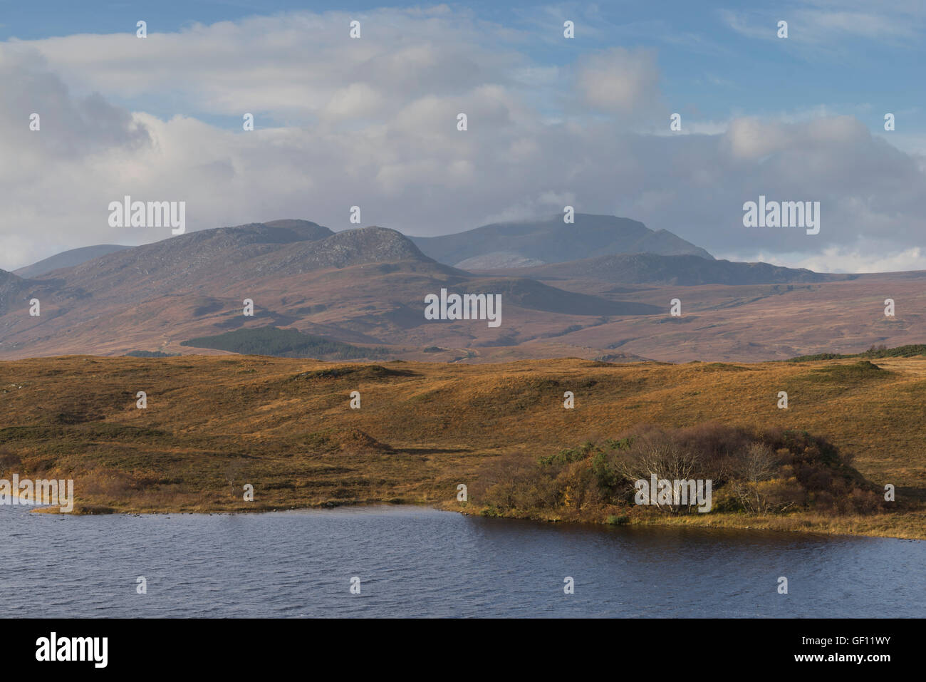 Looking across Lochan Hakel in Sutherland to the mountain Ben Hope, Scottish Highlands, Scotland, UK Stock Photo