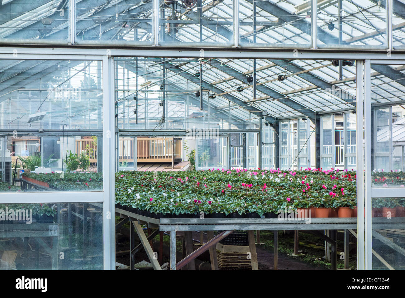 Plant cultivation hi-res stock photography and images - Alamy