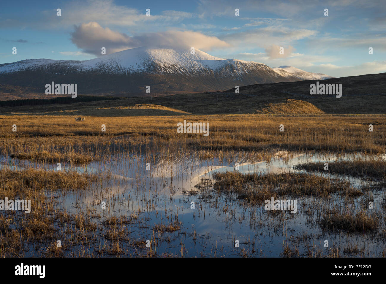 A view towards the munro Ben Klibreck above a small lochan near Altnaharra, Sutherland, Scotland, Scottish Highlands UK Stock Photo