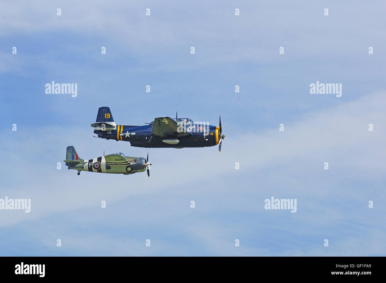 Grumman TBM-3R Avenger and Grumman Wildcat at RAF Duxford,Flying Legends Stock Photo