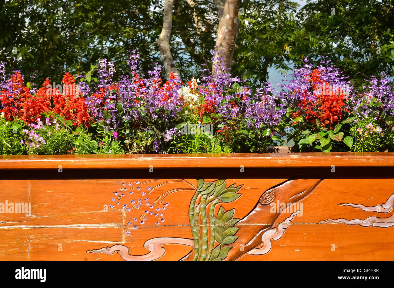 Most beautiful flower hires stock photography and images Alamy