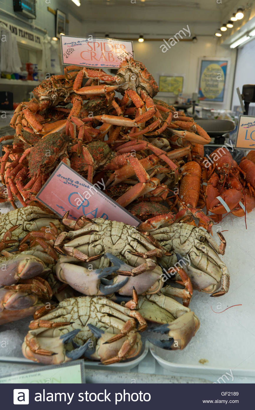 Spider Crabs Stock Photos & Spider Crabs Stock Images Alamy