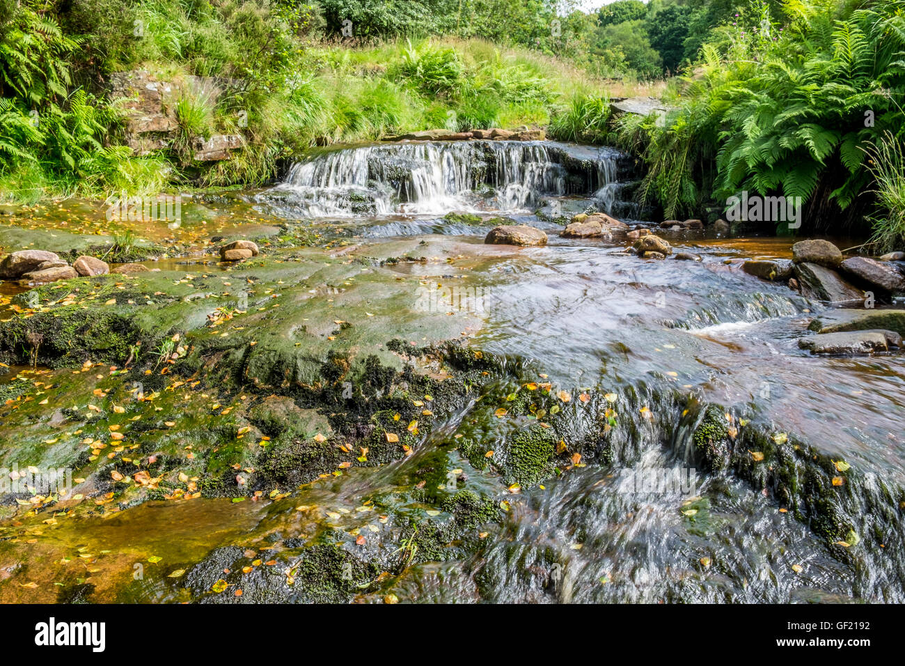 A small stream running over a small waterfall into a larger pool. Stock Photo