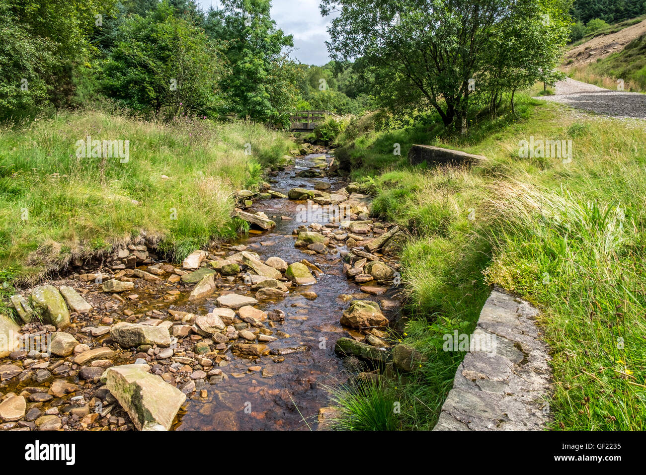 A small stream with large rock in the base of the stream, Stock Photo