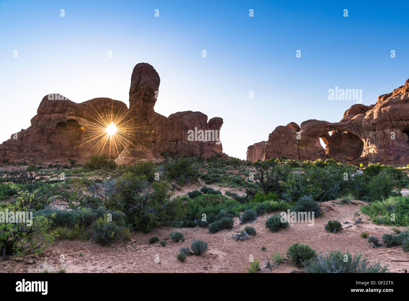 Parade of Elephants at sunset, Arches National Park, Utah, USA Stock Photo