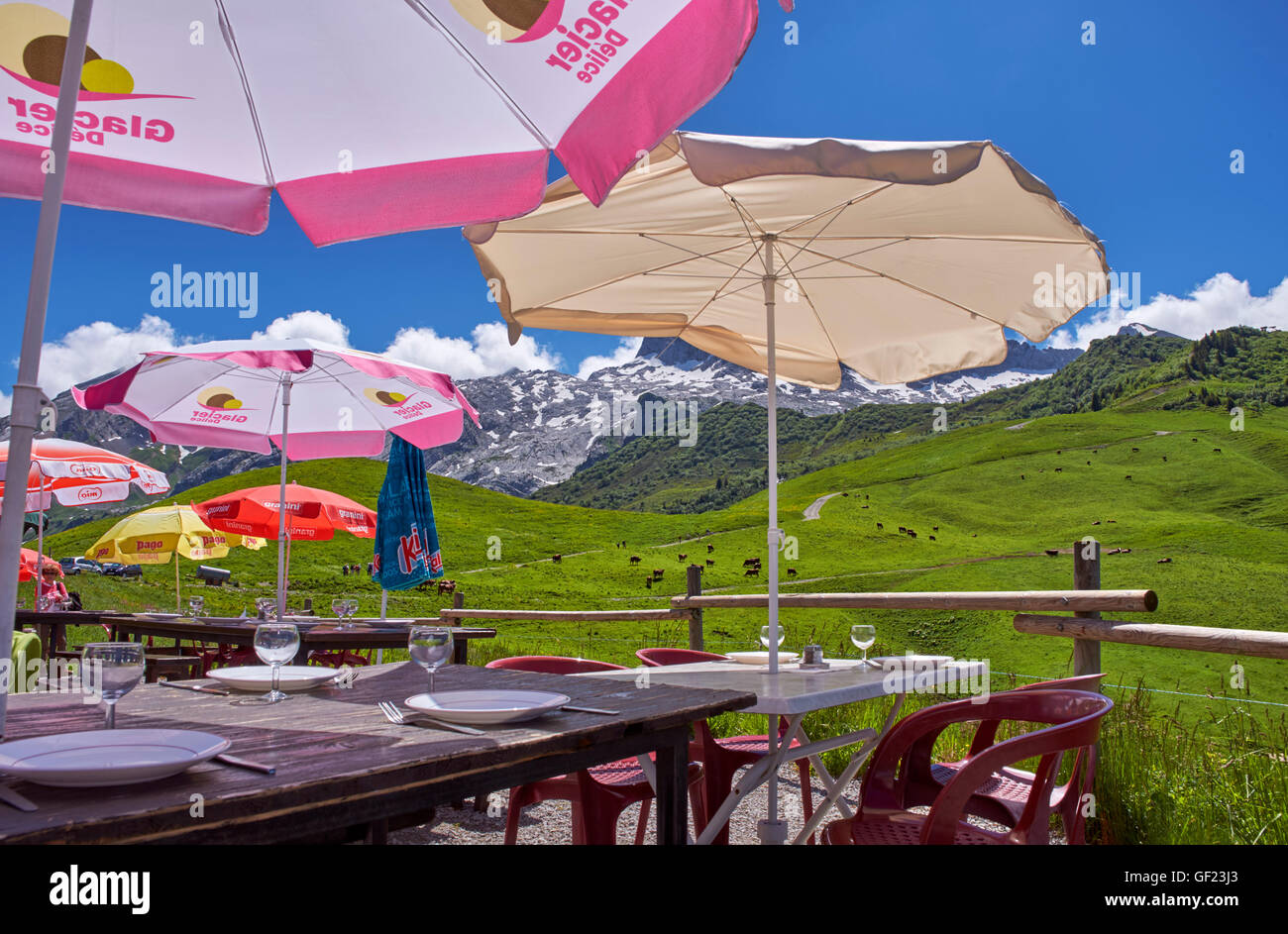 Restaurant terrace at Col des Annes with Abondance cows in the meadow beyond. Le Grand Bornand, Haute-Savoie, France. Stock Photo
