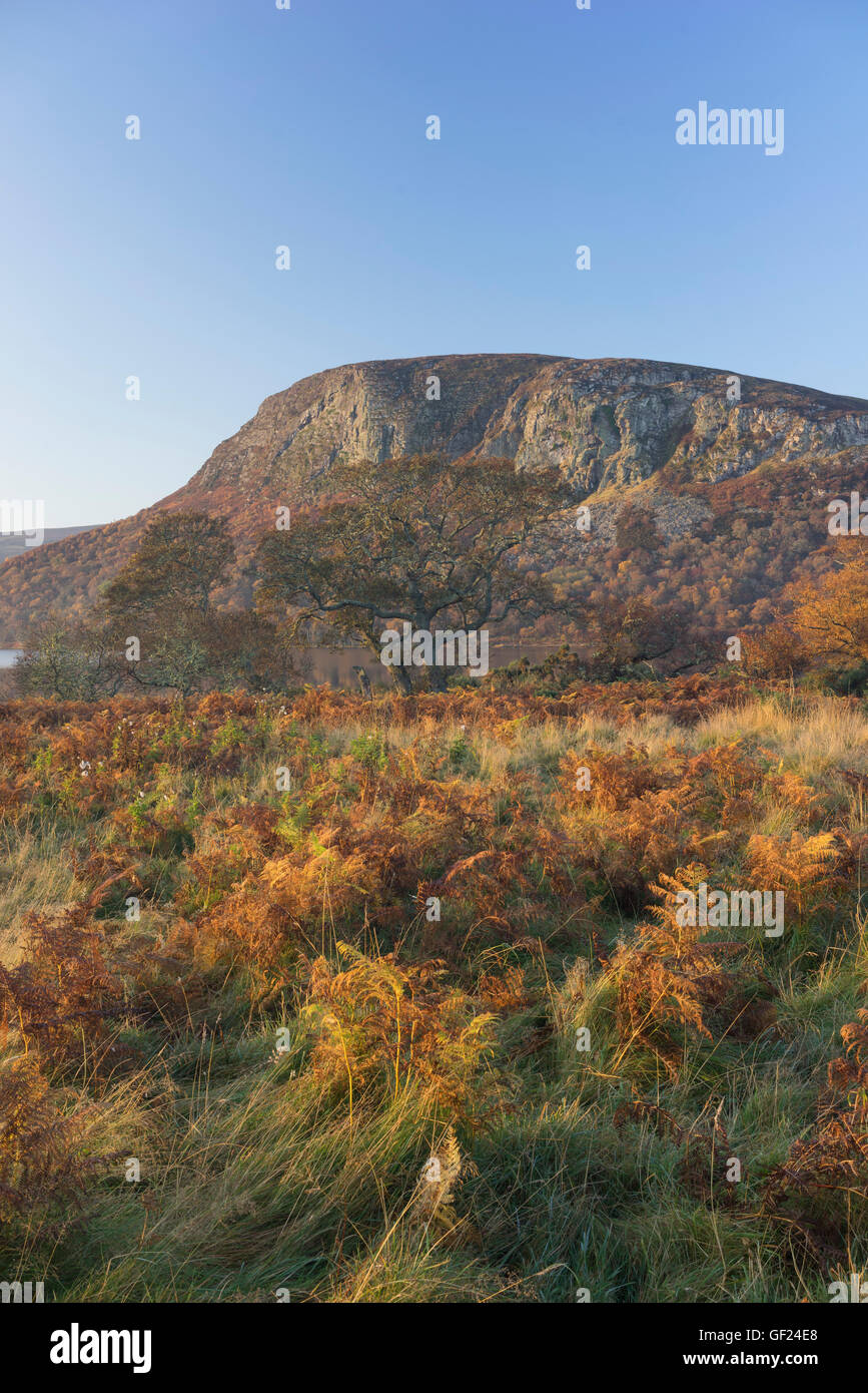 Carrol Rock in Strath Brora, East Sutherland Scotland and Loch Brora in autumn colours at sunrise on a blue sky day Stock Photo