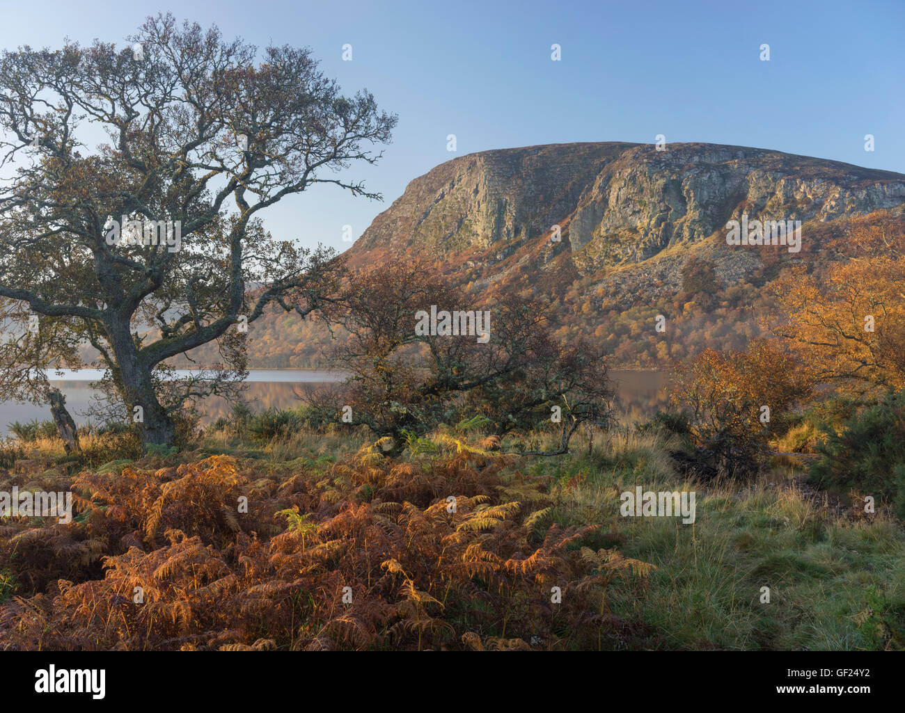 Carrol Rock in Strath Brora, East Sutherland Scotland and Loch Brora in autumn colours at sunrise on a blue sky day Stock Photo