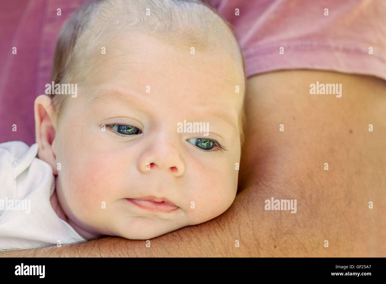 Portrait Of Cute 4-Month Newborn Baby Boy Lying On Father Arms Stock Photo