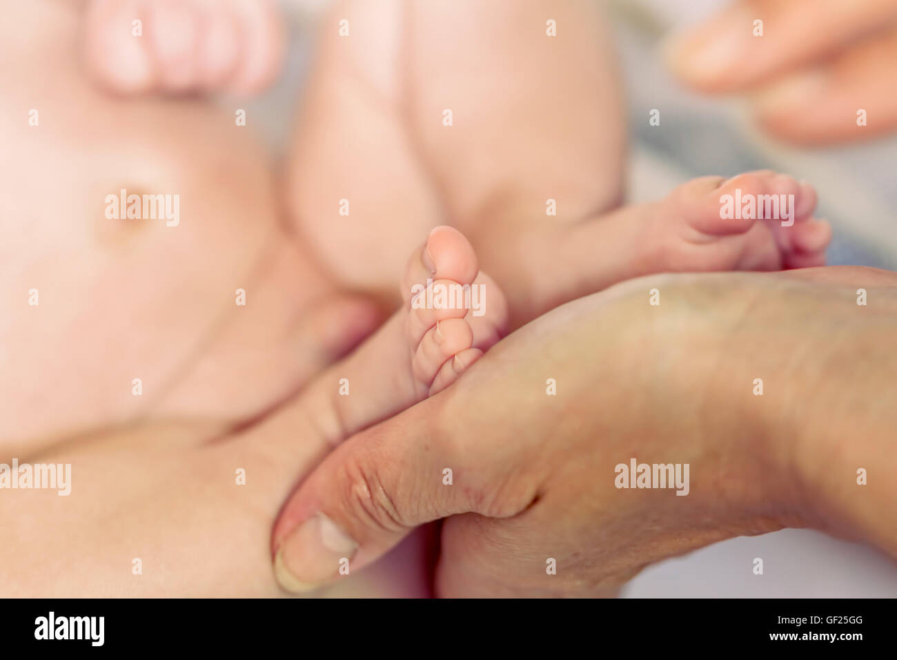Newborn Baby Boy Feet In Mother Hands Stock Photo