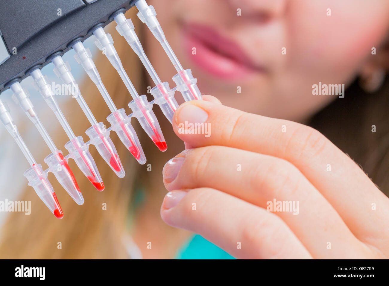 Young female scientist loads samples for DNA amplification by PCR into ...