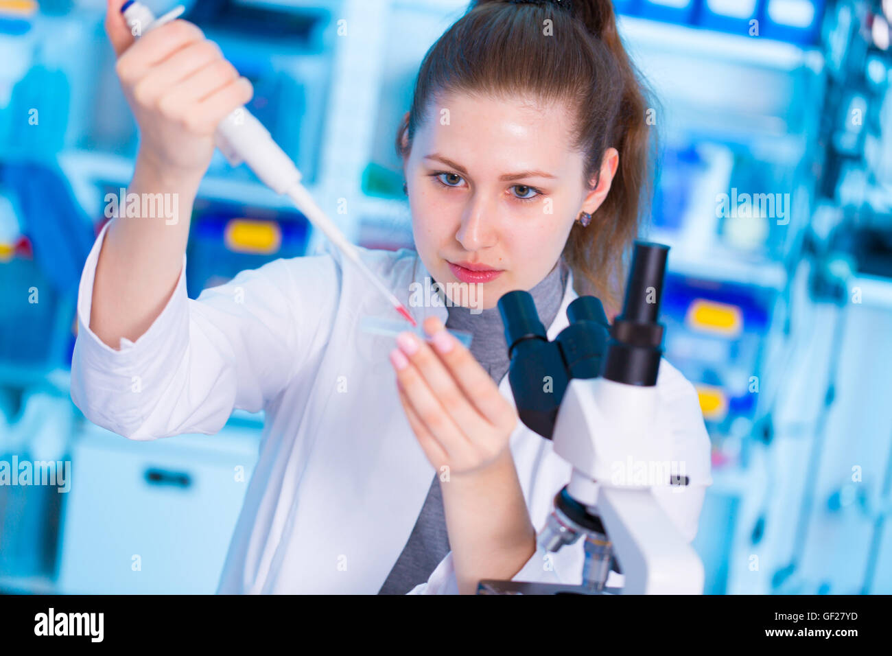 Young female researcher using pipette in medical laboratory Stock Photo ...