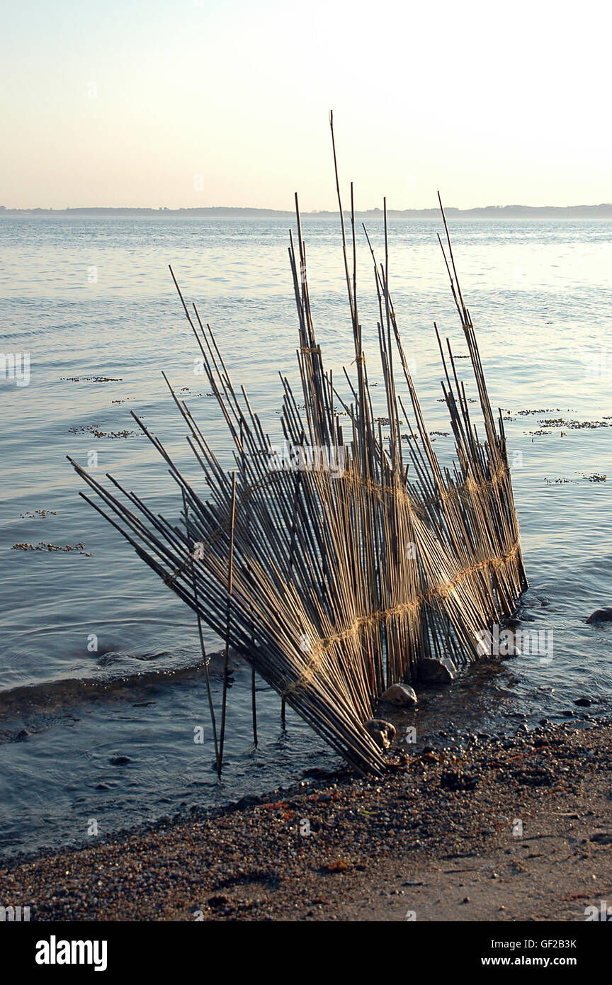 Part of a left behind straw mat has become a piece of artwork in the waterline on this coast. Stock Photo
