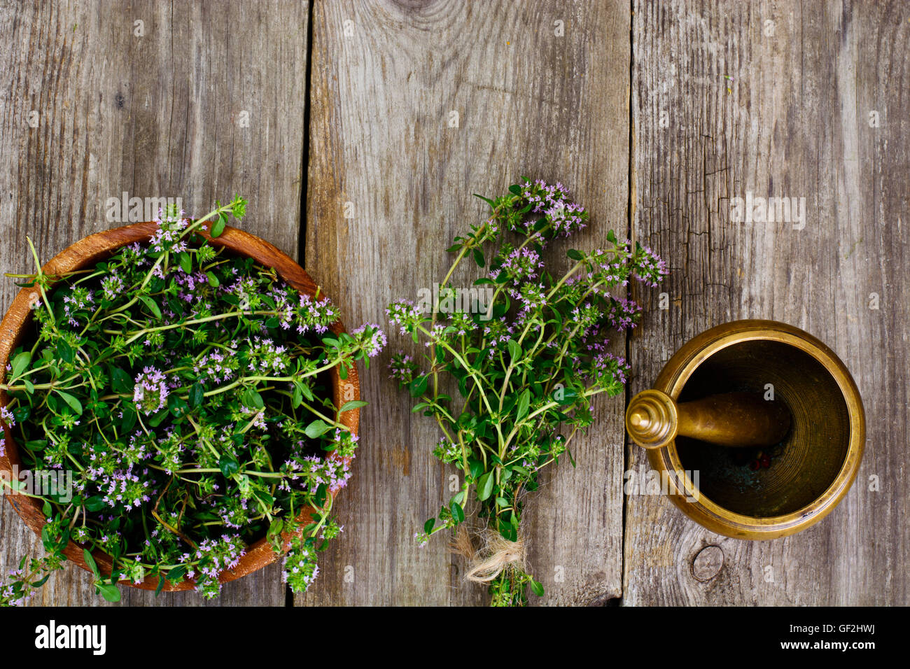 Flowers and Stems of Thyme Stock Photo Alamy