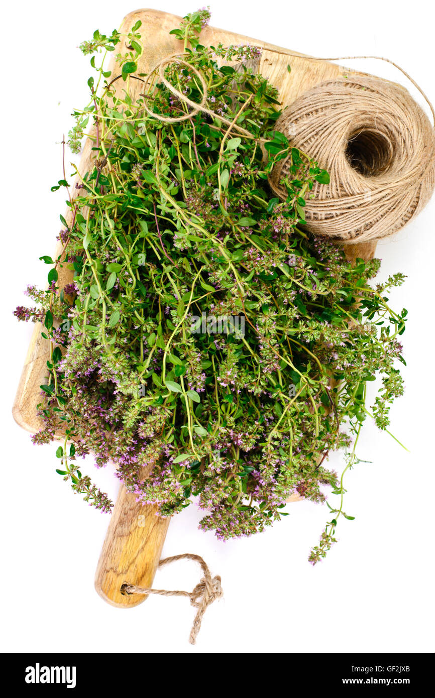Flowers and Stems of Thyme Stock Photo Alamy