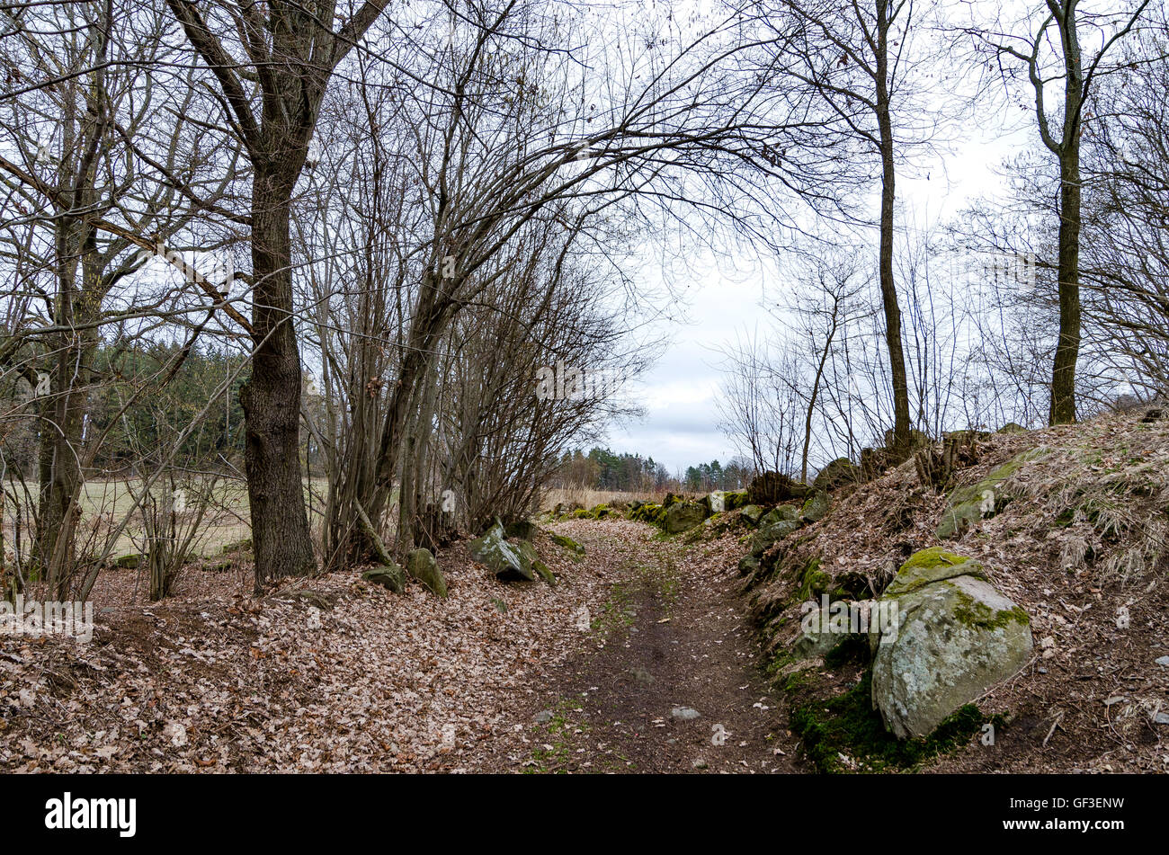 Old country road hi-res stock photography and images - Alamy