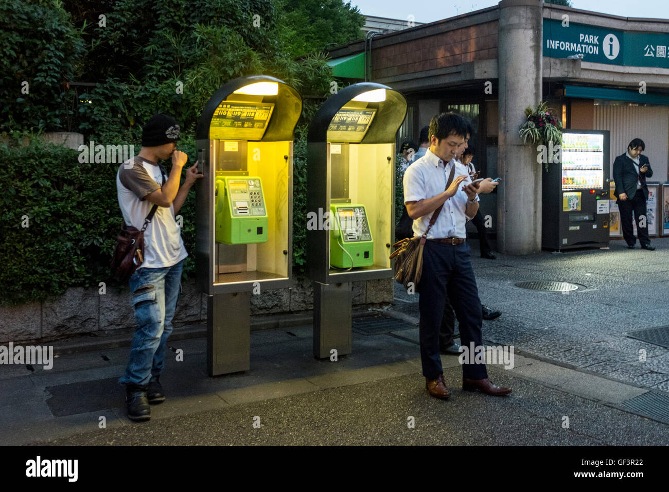 People play Pokemon Go on their smartphones in Ueno Park in Tokyo