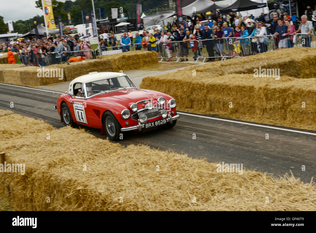 Bolesworth, Cheshire, UK. 29th July 2016. An Austin Healy being driven round the track. The event is the brainchild of Chris Evans and features 3 days of cars, music and entertainment with profits being donated to the charity Children in Need. Credit:  Andrew Paterson/Alamy Live News Stock Photo