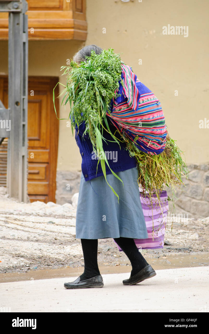 An Andean Indian woman carrying crops on her back Stock Photo