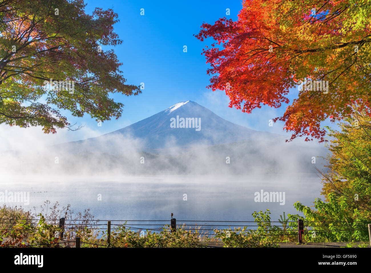 Mt. Fuji, Japan from Kawaguchi Lake in the autumn season. Stock Photo