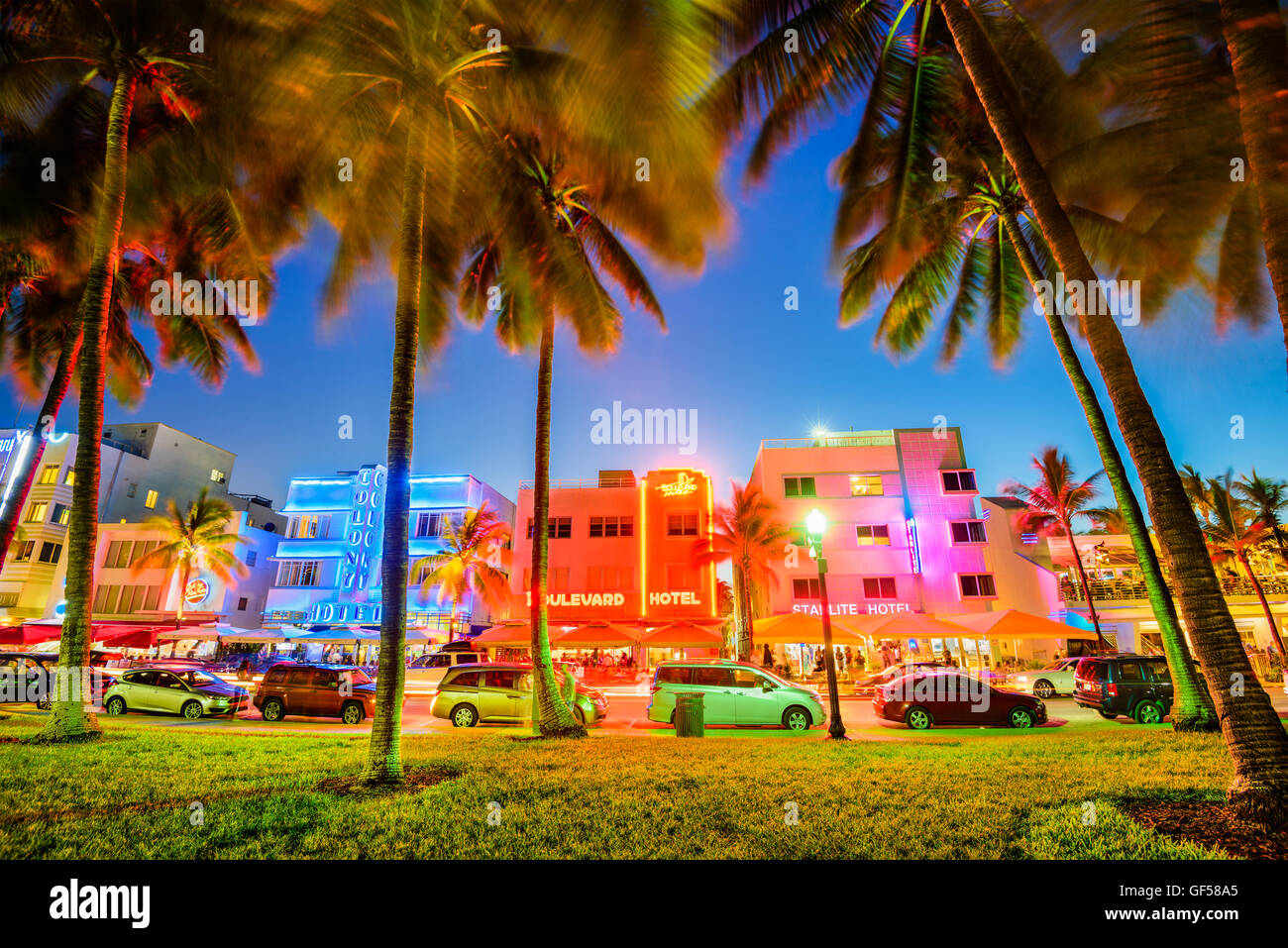 MIAMI, FLORIDA - JULY 5, 2016: Palm trees line Ocean Drive. The road is the main thoroughfare through South Beach. Stock Photo