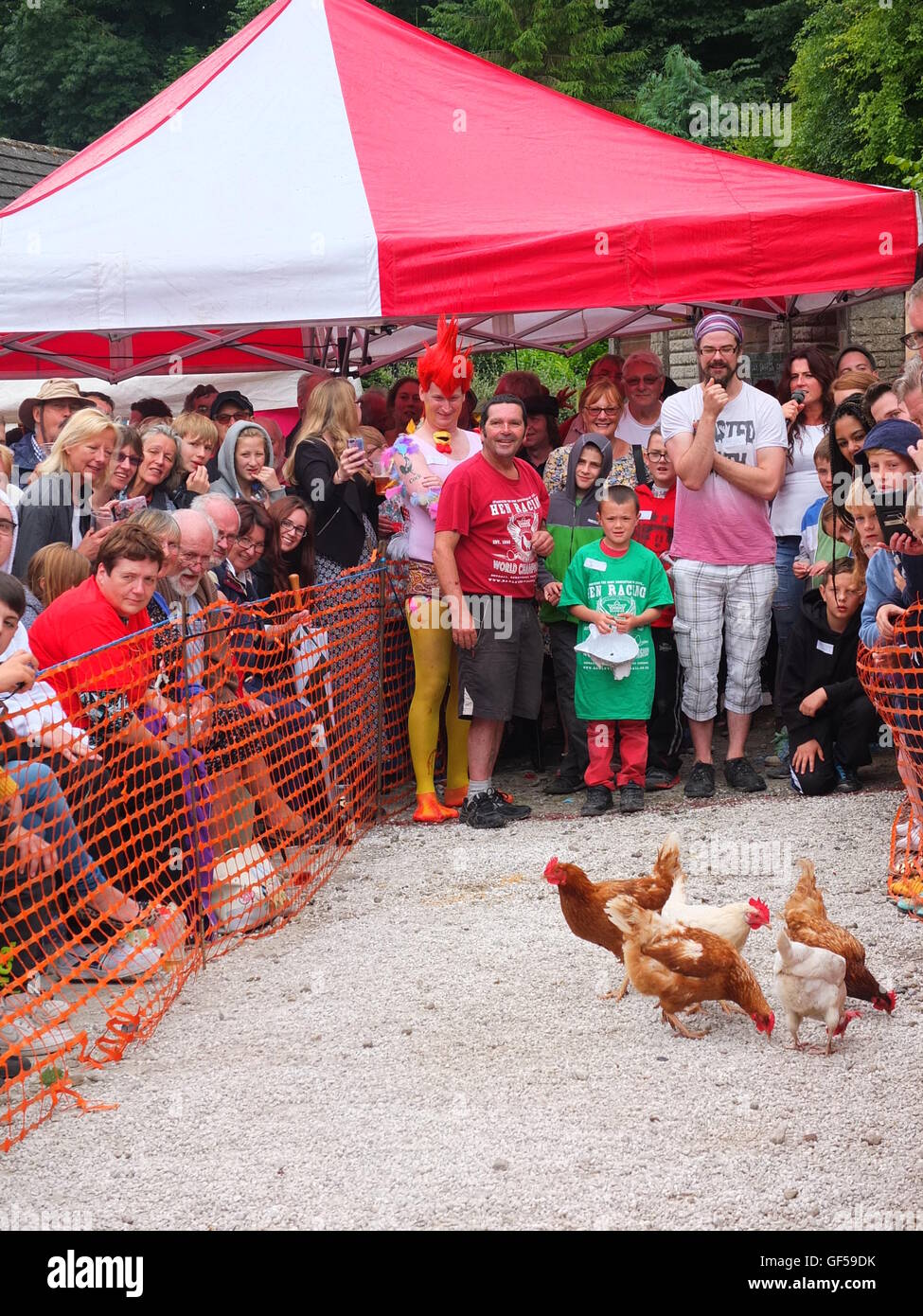 Competitors watch their chickens on the course at the Bonsall World Championship Hen Races Stock Photo