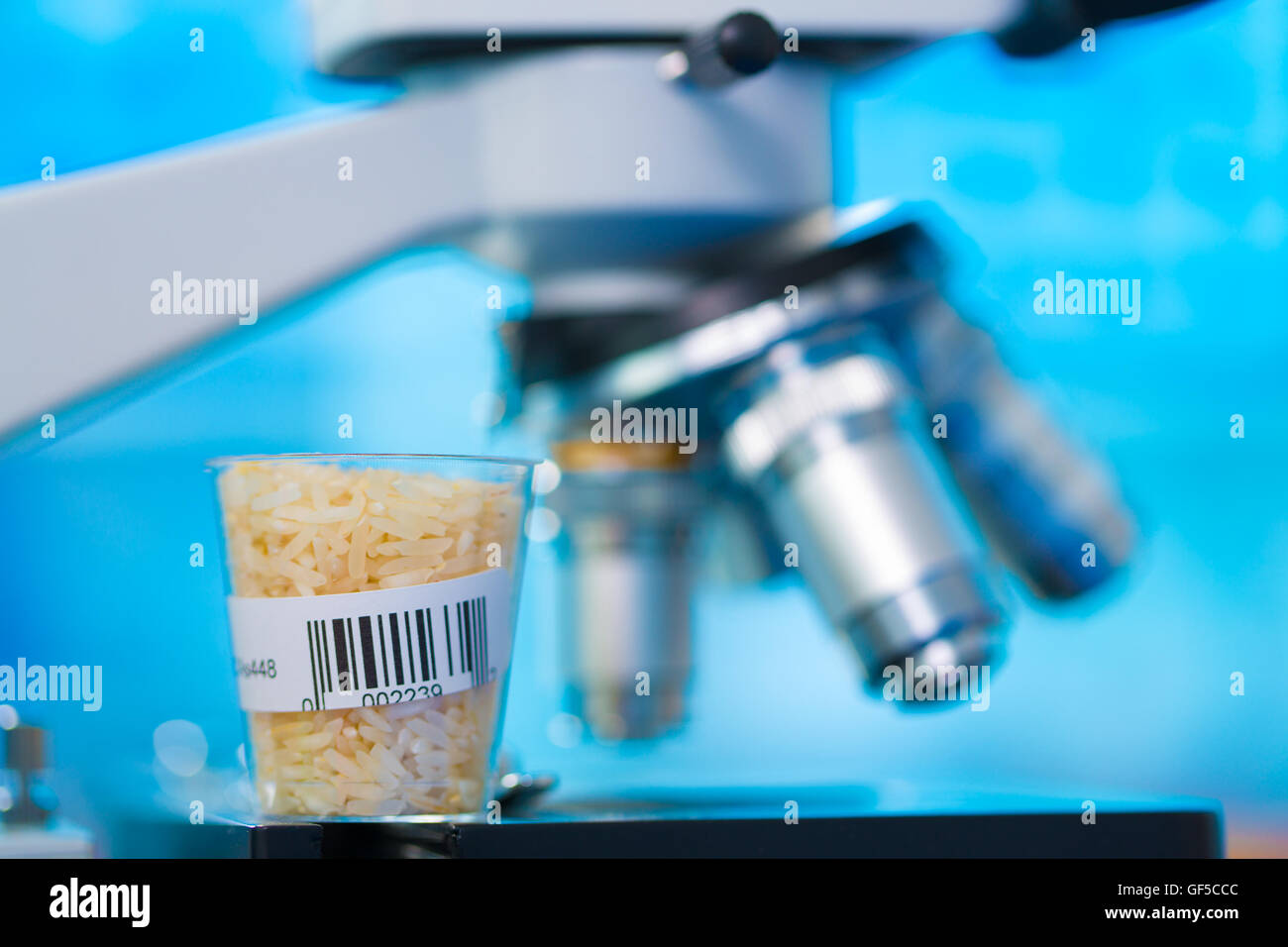 Microbiological testing for food quality at biochemistry laboratory Stock Photo