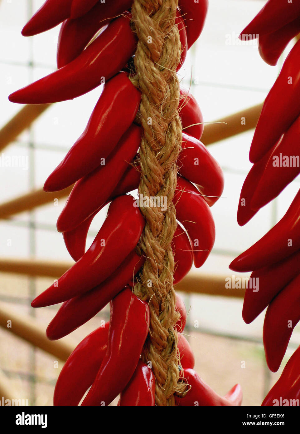 A string of bright red ripened Jalapeño peppers hang on a braided rope at a market in Tucson, Arizona, USA. Stock Photo