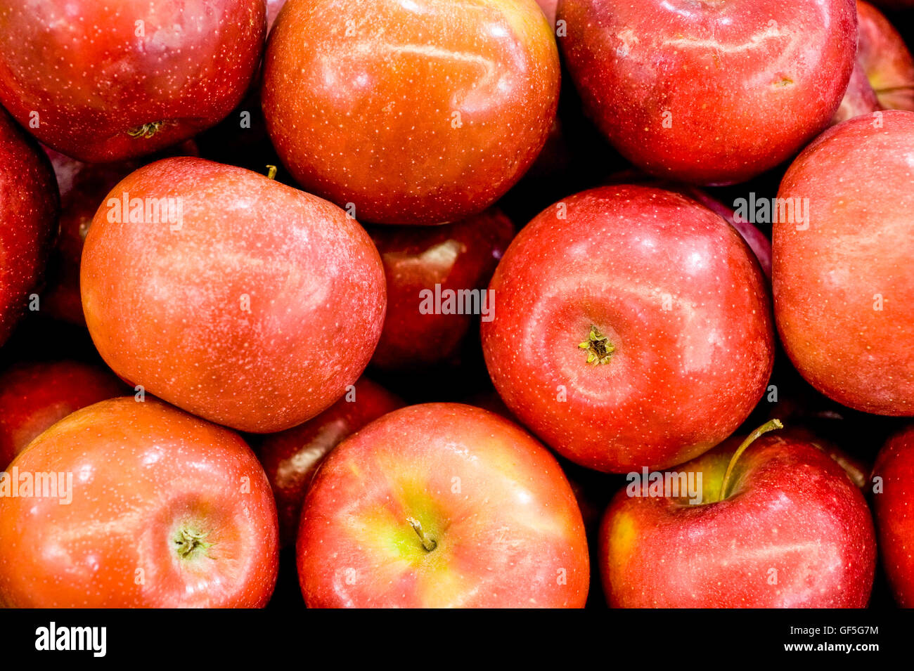 A pile of fresh, ripe red Apple Stock Photo