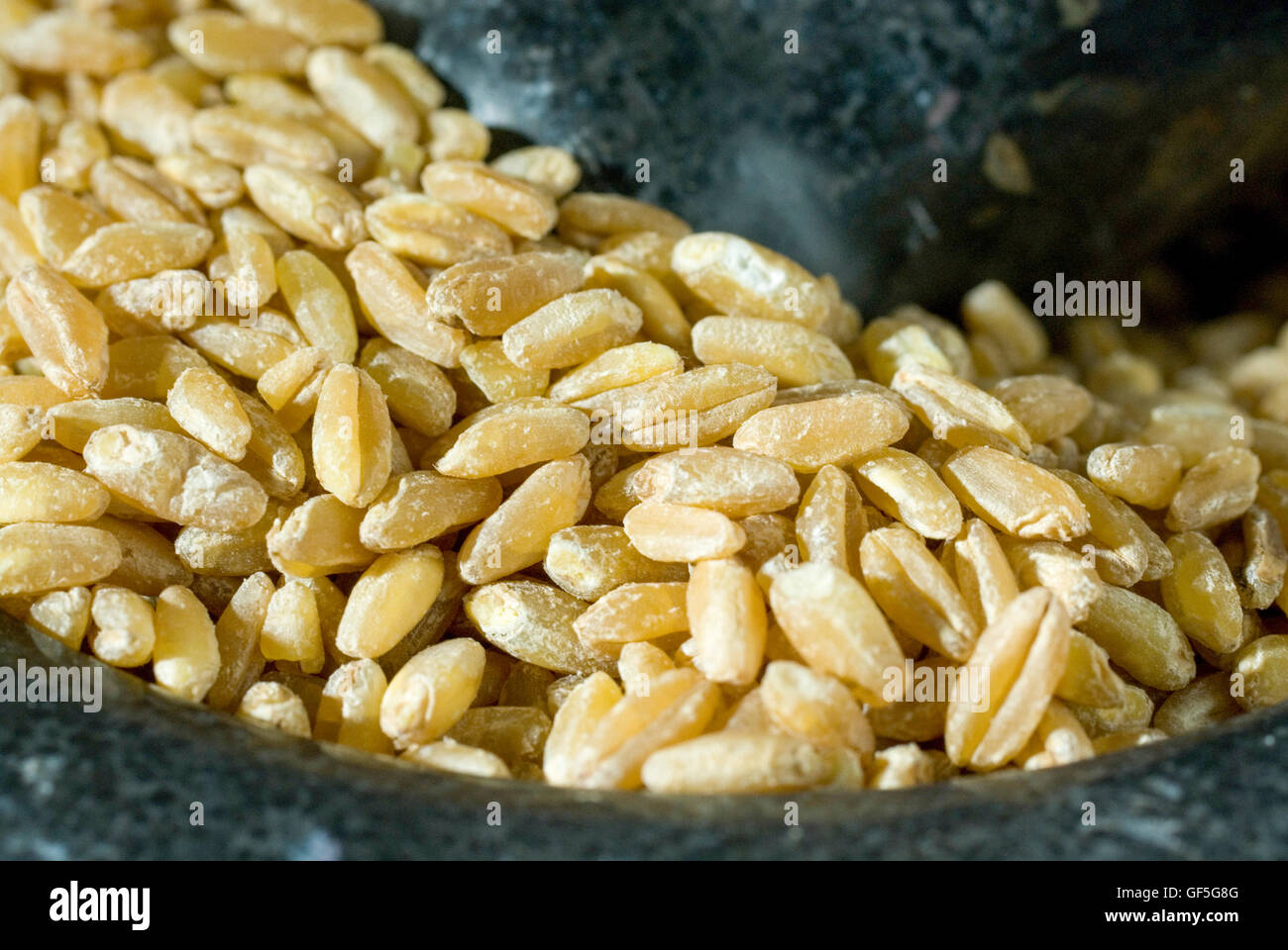 Wheat grain with Pestle and Mortar Stock Photo Alamy