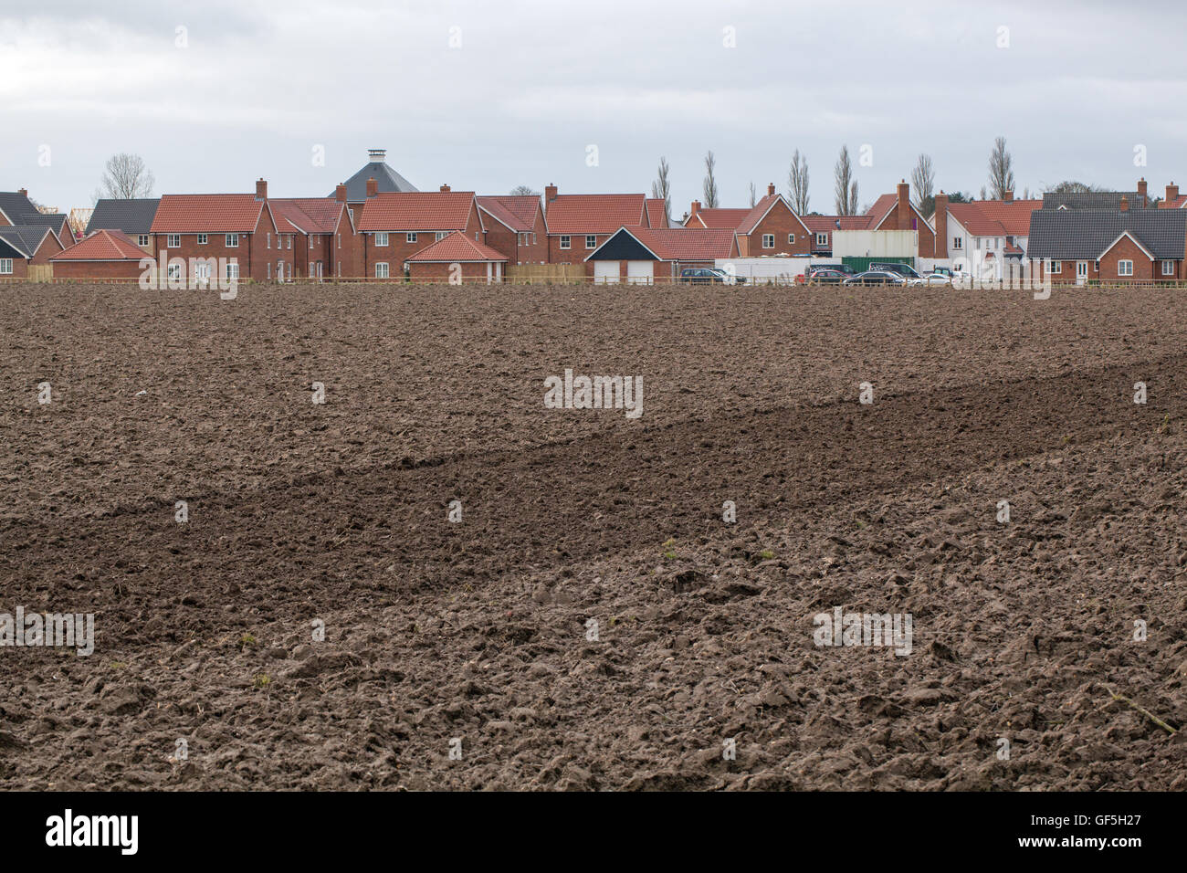 New Housing Estate built on former agricultural land. Stalham. Norfolk. East Anglia. England. Stock Photo