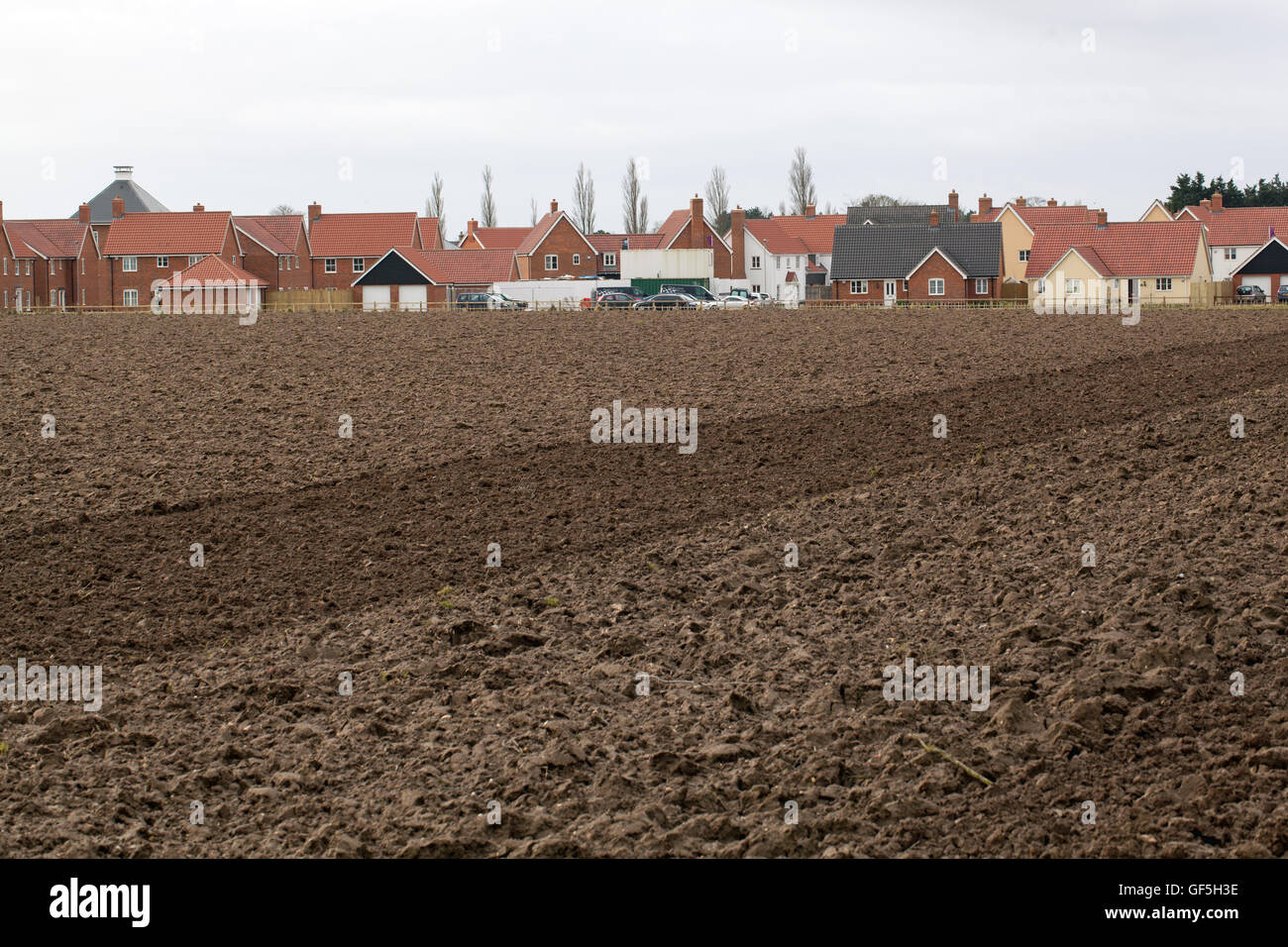 New Housing Estate built on former agricultural land. Stalham. Norfolk