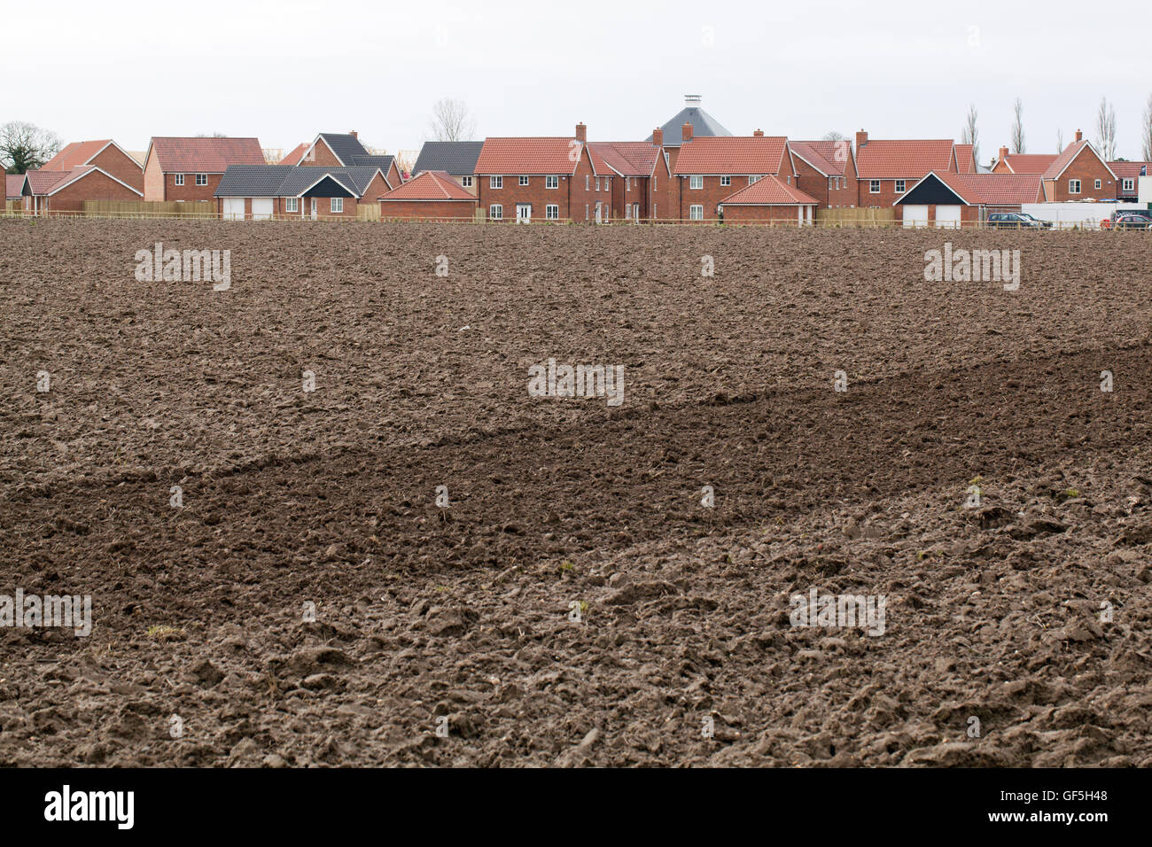 New Housing Estate built on former agricultural land. Stalham. Norfolk. East Anglia. England. Stock Photo