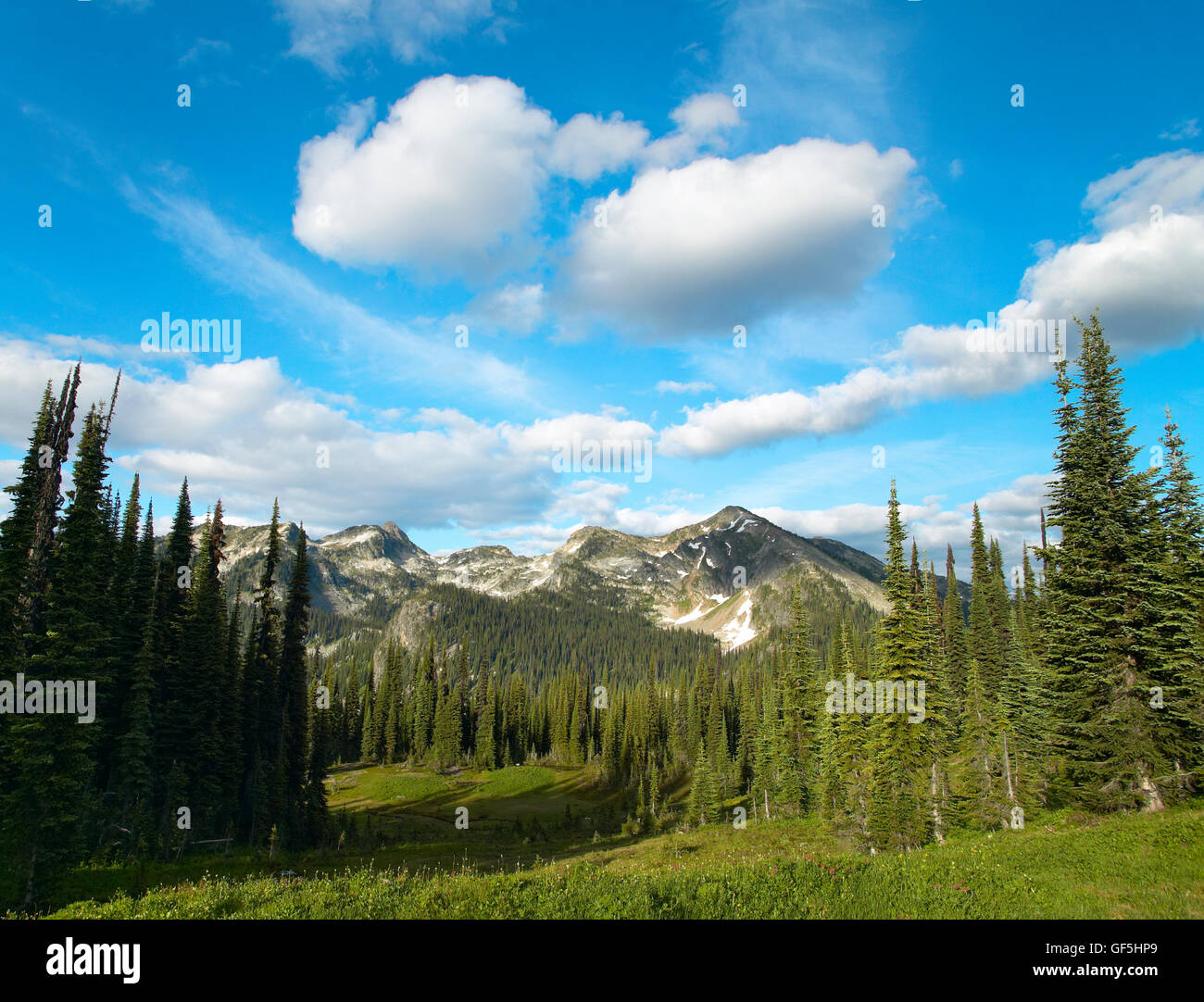Landscape with forest in British Columbia. Mount Revelstoke. Canada. Horizontal Stock Photo