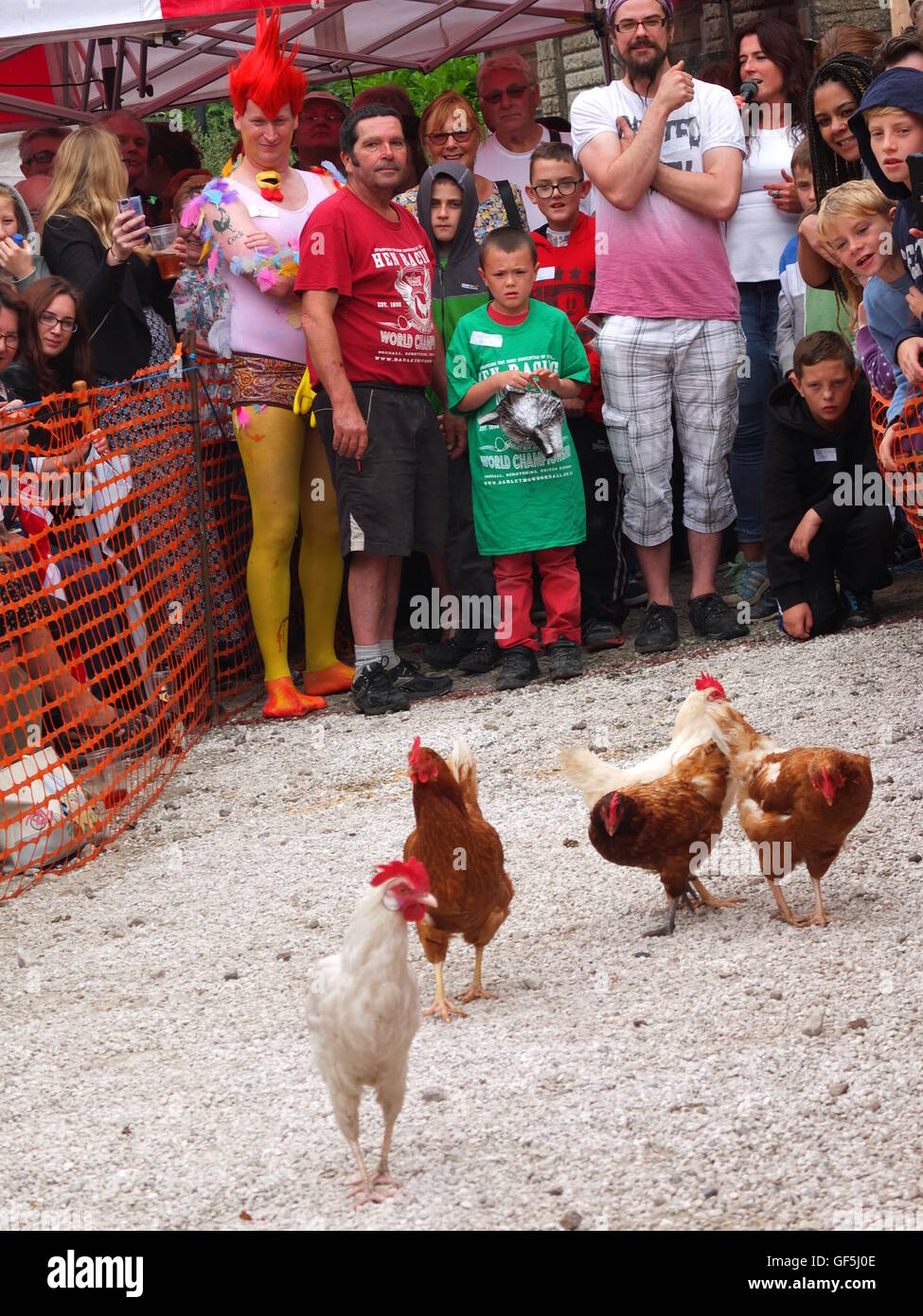 Competitors watch their hens race at the annual Bonsall World Championship Hen Racing held at the Barley Mow pub Stock Photo