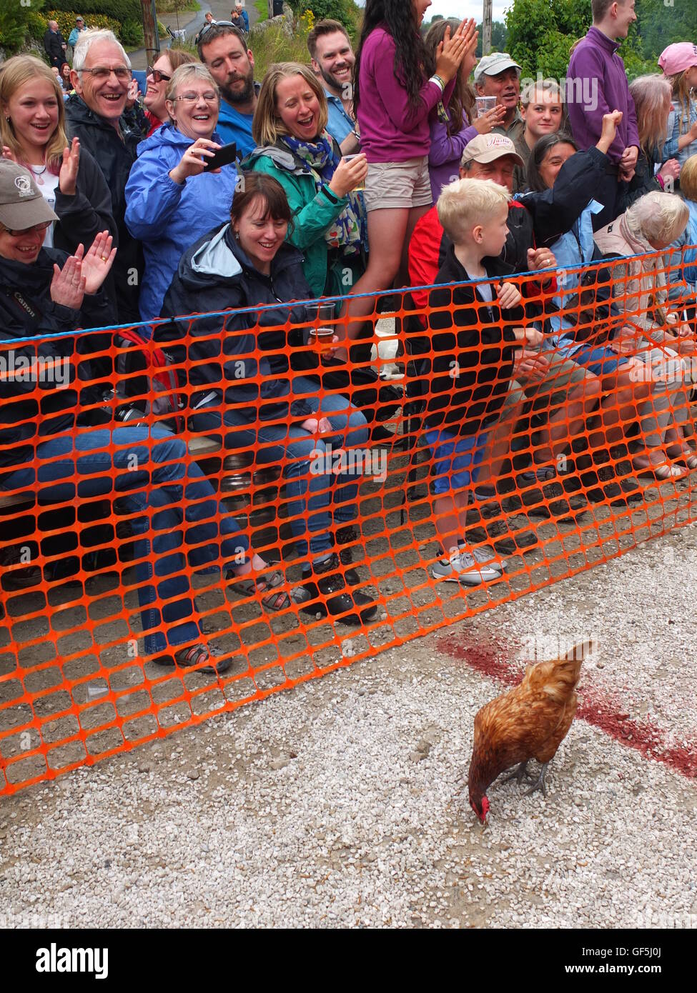 Spectators react to a hen crossing the finishing line at the World Championship Hen Racing, held at the Barley Mow, Bonsall Stock Photo