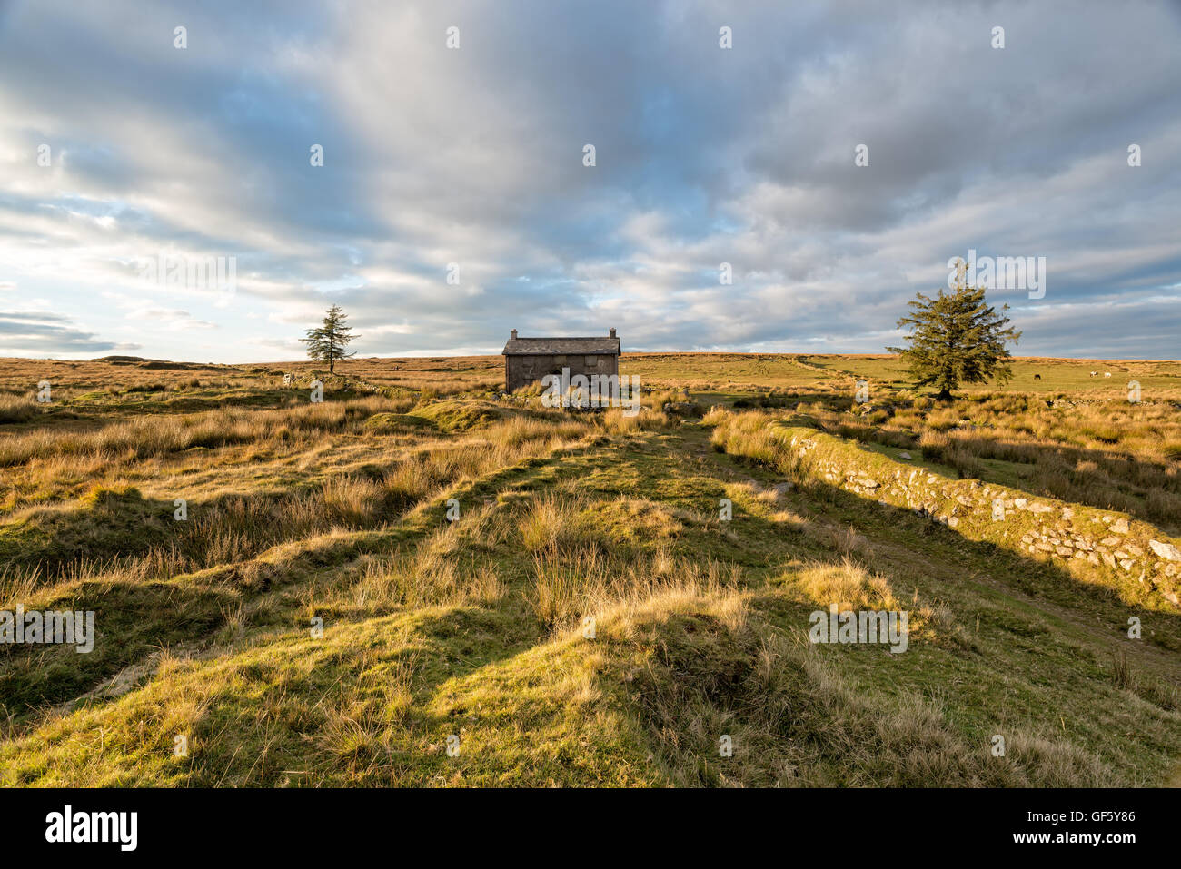 A lonely isolated farmhouse at Nun's Cross on Dartmoor National Park in Devon Stock Photo
