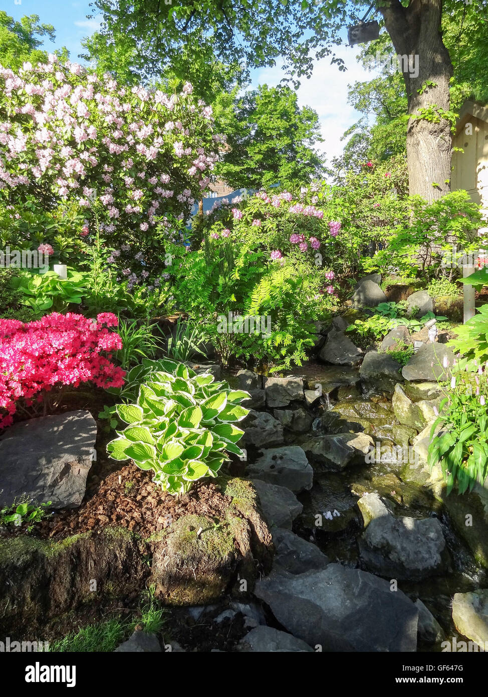 sunny flourish garden scenery at summer time Stock Photo