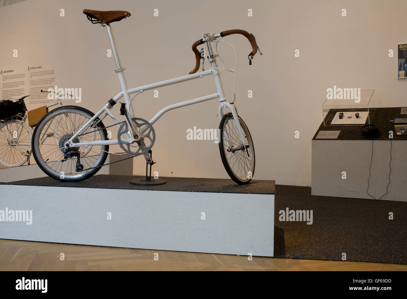 bikeology custom bikes